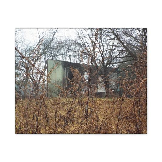 WHATS LEFT