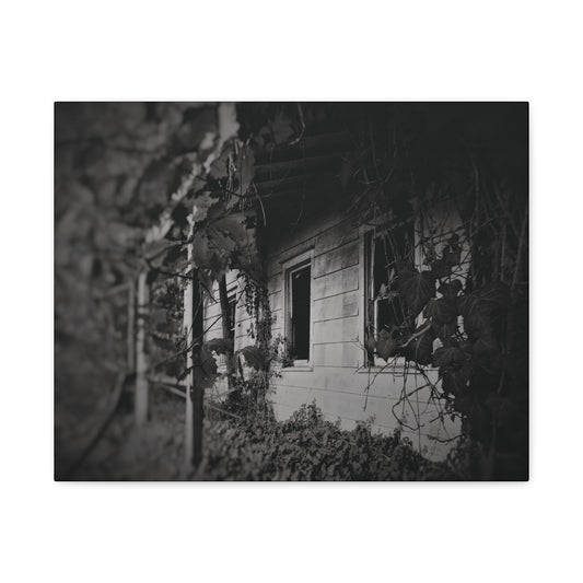DAYS GONE BY